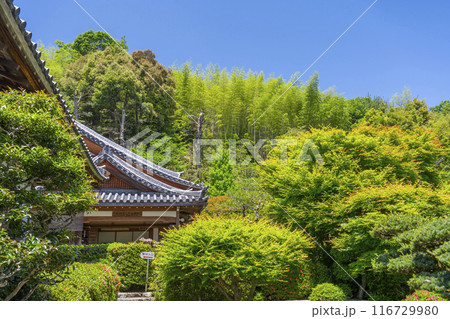 京都嵐山　華厳寺（鈴虫寺）　境内 116729980