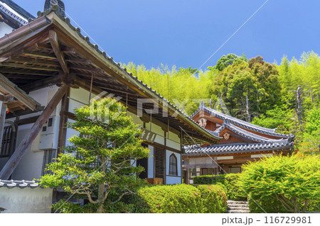 京都嵐山 華厳寺(鈴虫寺) 境内 京都嵐山 華厳寺(鈴虫寺) 境内 116729981
