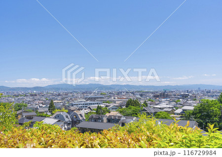 京都嵐山　華厳寺（鈴虫寺）　高台からの眺望 116729984