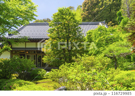 京都嵐山 華厳寺(鈴虫寺) 庭園から見る客殿 京都嵐山 華厳寺(鈴虫寺) 庭園から見る客殿 116729985