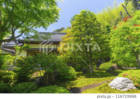 京都嵐山　華厳寺（鈴虫寺）　庭園から見る客殿 116729986