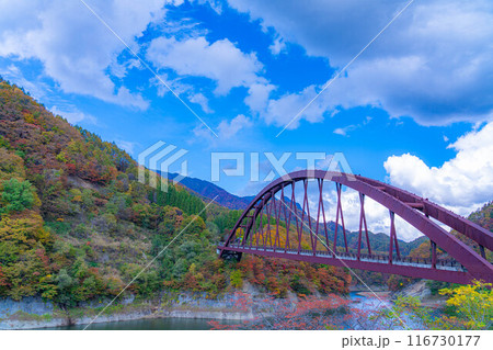 【秋素材】奥裾花渓谷の紅葉【長野県】 【秋素材】奥裾花渓谷の紅葉【長野県】 116730177
