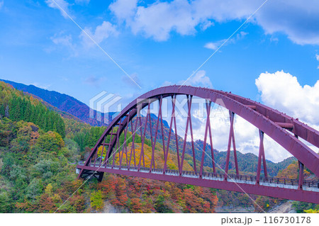 【秋素材】奥裾花渓谷の紅葉【長野県】 【秋素材】奥裾花渓谷の紅葉【長野県】 116730178