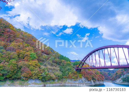 【秋素材】奥裾花渓谷の紅葉【長野県】 【秋素材】奥裾花渓谷の紅葉【長野県】 116730183