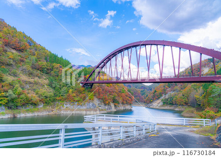 【秋素材】奥裾花渓谷の紅葉【長野県】 【秋素材】奥裾花渓谷の紅葉【長野県】 116730184