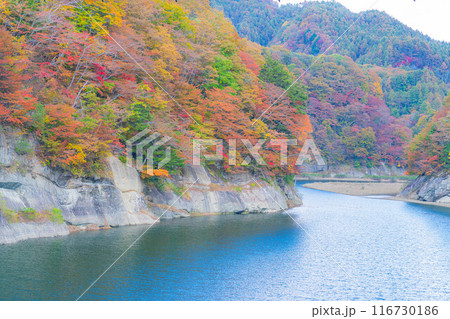 【秋素材】奥裾花渓谷の紅葉【長野県】 116730186