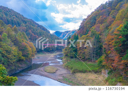 【秋素材】奥裾花渓谷の紅葉【長野県】 116730194