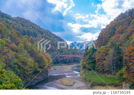 【秋素材】奥裾花渓谷の紅葉【長野県】 【秋素材】奥裾花渓谷の紅葉【長野県】 116730195