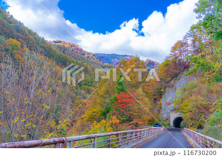 【秋素材】奥裾花渓谷の紅葉【長野県】 【秋素材】奥裾花渓谷の紅葉【長野県】 116730200
