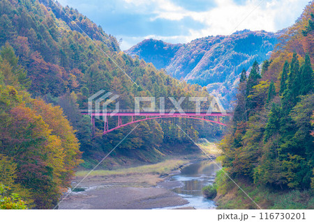 【秋素材】奥裾花渓谷の紅葉【長野県】 【秋素材】奥裾花渓谷の紅葉【長野県】 116730201