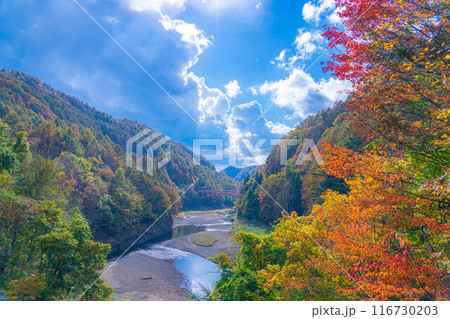 【秋素材】奥裾花渓谷の紅葉【長野県】 【秋素材】奥裾花渓谷の紅葉【長野県】 116730203