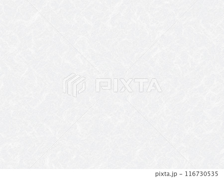 和紙・テクスチャ・背景素材・ライトグレー 116730535
