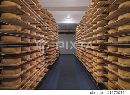 Countless cheese rounds 116730554