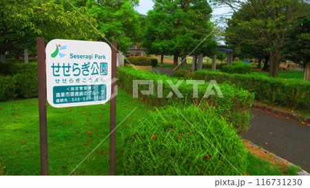 埼玉県鴻巣市のせせらぎ公園の風景 116731230