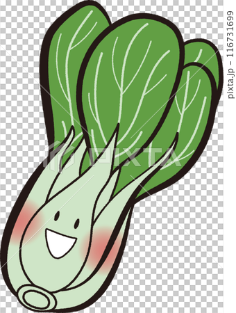 Smiling bok choy cartoon material 116731699