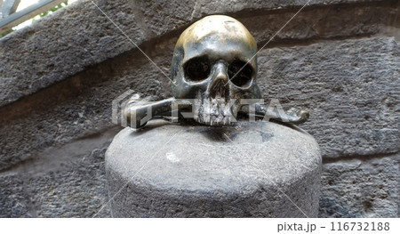 A lucky metal skull with crossbones on a stone. 116732188