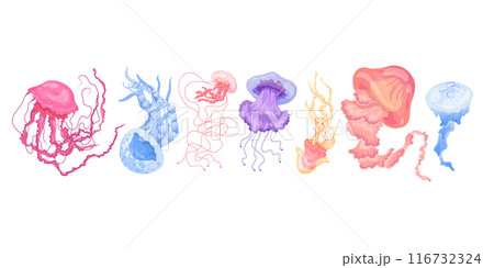 Cartoon Color Jellyfish or Medusa Set on a White Concept Flat Design Style. Vector illustration of Cute Jellyfishes 116732324