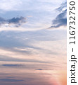 夕焼けに染まる雲 116732750
