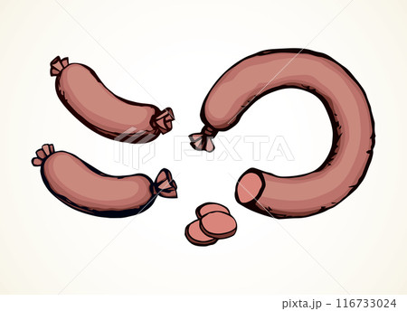 Sausage. Vector drawing Sausage. Vector drawing 116733024