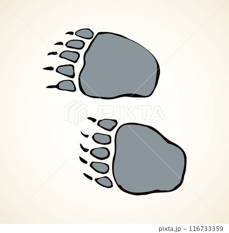 Traces of a bear. Vector drawing 116733359
