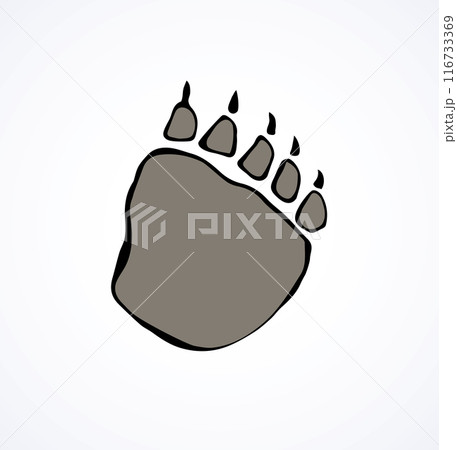 Traces of a bear. Vector drawing Traces of a bear. Vector drawing 116733369