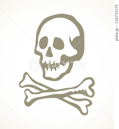 Skull and Bones. Vector drawing 116733375