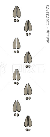 Traces of hooves. Vector drawing 116733475