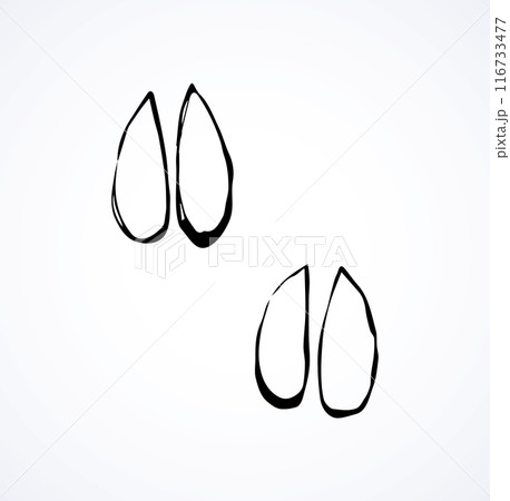 Traces of hooves. Vector drawing 116733477