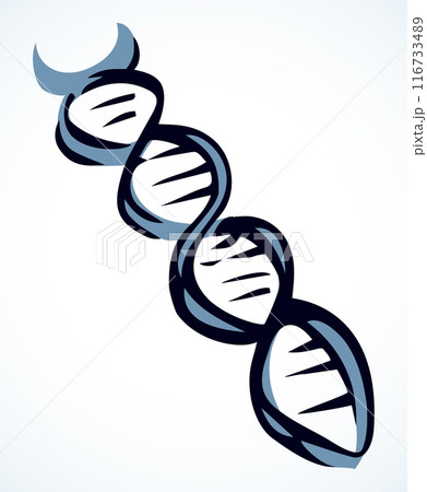 DNA icon sign. Vector drawing 116733489