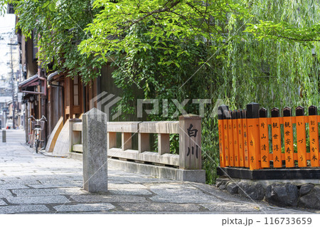 京都・祇園白川　巽橋　新緑の季節 116733659