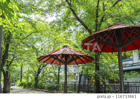 京都・祇園白川　新緑のトンネル　赤い傘の日除け 116733661