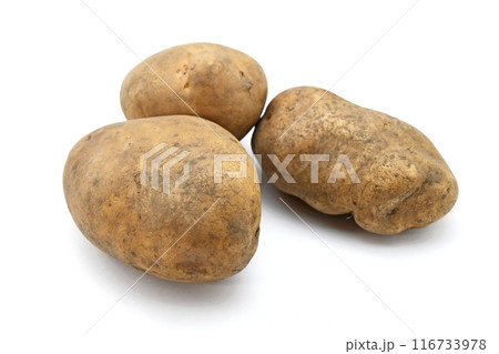 じゃがいも(ひかる) じゃがいも(ひかる) 116733978