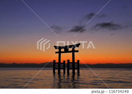 【滋賀県】白鬚神社の湖中大鳥居の夜明け(琵琶湖) 【滋賀県】白鬚神社の湖中大鳥居の夜明け(琵琶湖) 116734249