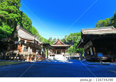 【滋賀県】晴天の日吉大社（東本宮） 116734290