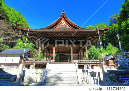 【滋賀県】晴天の日吉大社（東本宮） 116734292