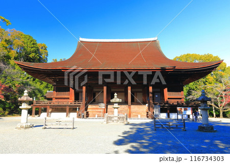 【滋賀県】快晴の三井寺（園城寺）の金堂 116734303