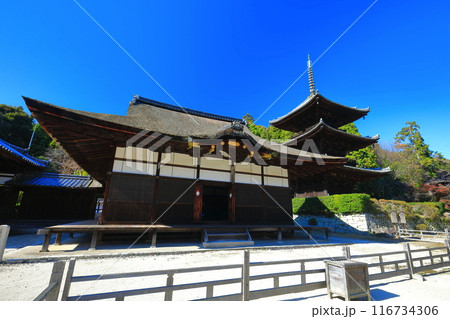 【滋賀県】快晴の三井寺（園城寺）の三重塔 116734306