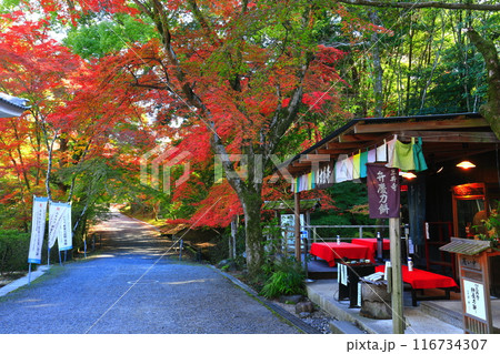 【滋賀県】晴天の三井寺（園城寺）の紅葉 116734307