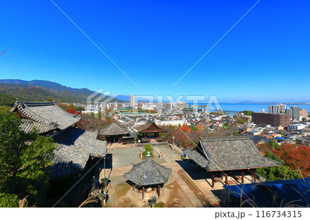 【滋賀県】快晴の三井寺(園城寺)と琵琶湖 【滋賀県】快晴の三井寺(園城寺)と琵琶湖 116734315
