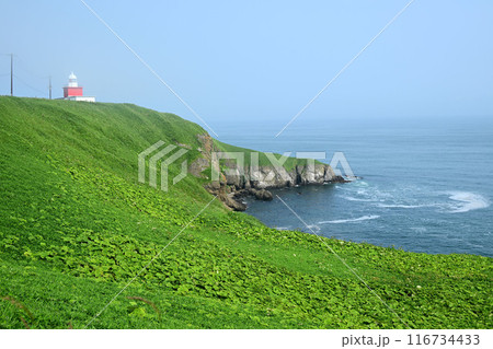 湯沸岬と湯沸岬灯台 湯沸岬と湯沸岬灯台 116734433