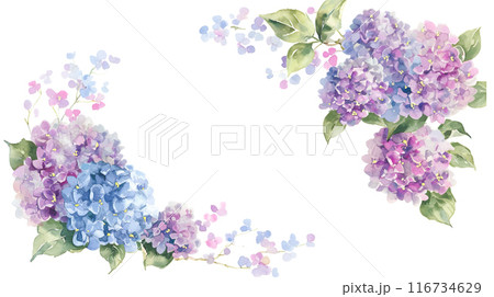 ロマンチックな紫陽花の水彩イラストフレーム背景 116734629