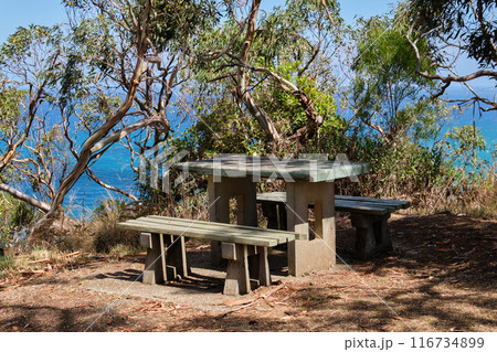 Picnic table and bench - Lorne 116734899