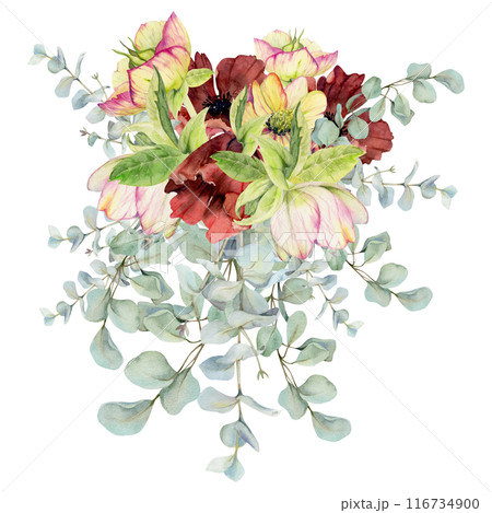 Hellebore, poppy anemone peony flowers, eucalyptus branches. Watercolor hand drawn illustration, bride bouquet isolated on white. Xmas, happy new year festive, noel navidad holiday. Florist wedding. Hellebore, poppy anemone peony flowers, eucalyptus branches. Watercolor hand drawn illustration, bride bouquet isolated on white. Xmas, happy new year festive, noel navidad holiday. Florist wedding. 116734900
