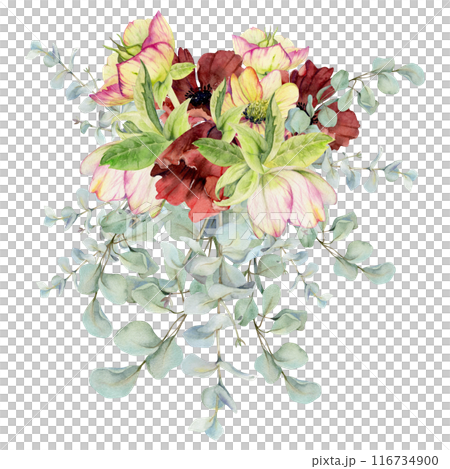 Hellebore, poppy anemone peony flowers, eucalyptus branches. Watercolor hand drawn illustration, bride bouquet isolated on white. Xmas, happy new year festive, noel navidad holiday. Florist wedding. Hellebore, poppy anemone peony flowers, eucalyptus branches. Watercolor hand drawn illustration, bride bouquet isolated on white. Xmas, happy new year festive, noel navidad holiday. Florist wedding. 116734900