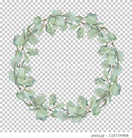 Eucalyptus laurel branches, leaves. Watercolor hand drawn illustration, wreath chaplet crown frame isolated on white. Xmas, happy new year festive, noel navidad. For cards, florist, wedding gifts Eucalyptus laurel branches, leaves. Watercolor hand drawn illustration, wreath chaplet crown frame isolated on white. Xmas, happy new year festive, noel navidad. For cards, florist, wedding gifts 116734906