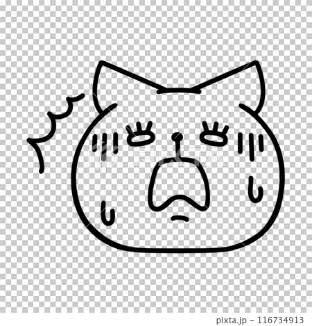 ショックを受ける猫・線画 116734913