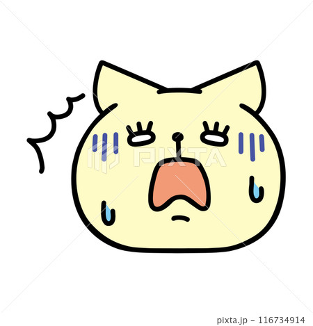ショックを受ける猫 116734914