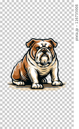 Color image of an English Bulldog with a sturdy, tough look and a friendly disposition. Color image of an English Bulldog with a sturdy, tough look and a friendly disposition. 116735008