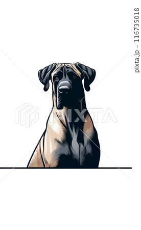 デンマークのデーン・シェパードのカラー画像。知的で多用途に使える大型犬。 デンマークのデーン・シェパードのカラー画像。知的で多用途に使える大型犬。 116735018