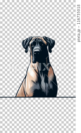 デンマークのデーン・シェパードのカラー画像。知的で多用途に使える大型犬。 デンマークのデーン・シェパードのカラー画像。知的で多用途に使える大型犬。 116735018